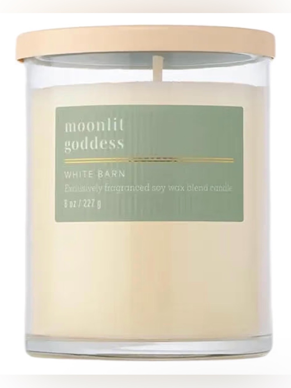 Bath & Body Works Single Wick Candle - Moonlit Goddess